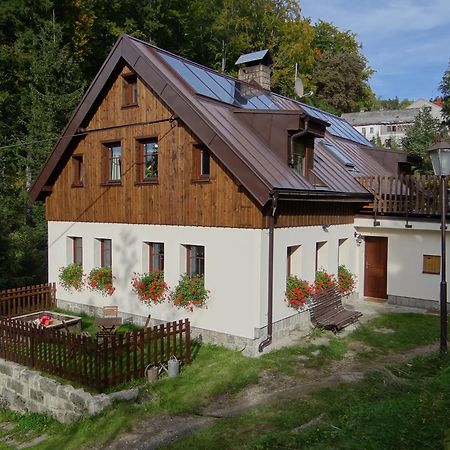 Penzion Pod Kopcem Janov nad Nisou Luaran gambar
